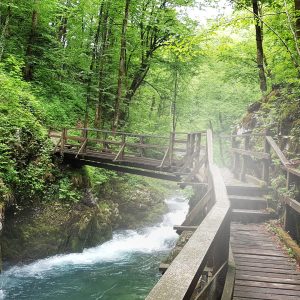 Netaknuta šumska idila - KANJON KAMAČNIK i VELIKE ZVIJERI ☘️🌞